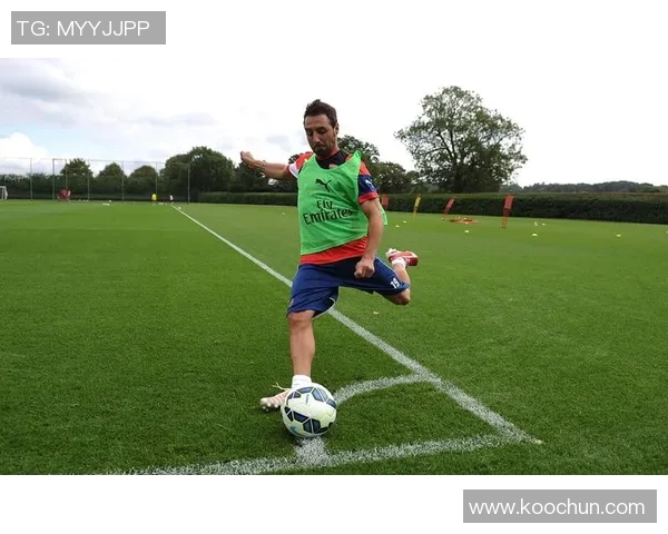 足球明星眼中的球员风采与成长历程的深度剖析与分享